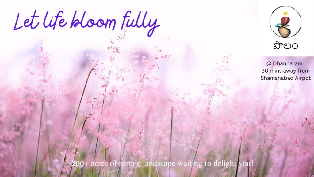 POLAM@KANDUKUR-NATURE BLISSFULLY YOURS