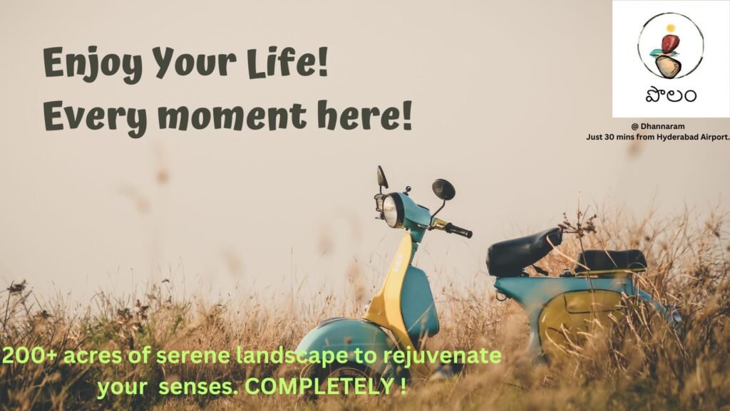 ENJOY LIFE IN SLOW MOTIONAFb14lE1cs:8,j:47801391081,t:23022807