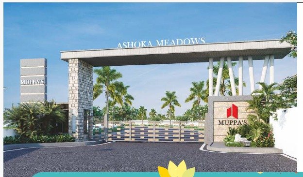 WhatsApp Image 2025-03-07 at 20.13.18 (1)